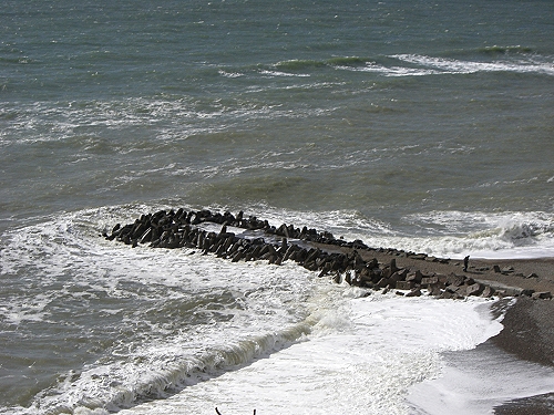 14 buhne vor steil.jpg